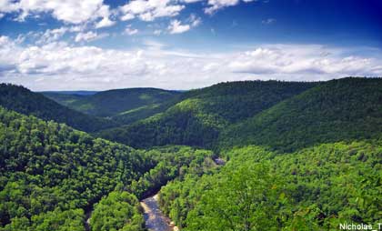 Solar Farms, Projects Boom in Pennsylvania as Costs Fall