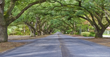 Energy audit by local Aiken energy auditors