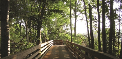 Energy audit by local Altamonte Springs energy auditors