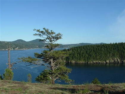 Solar panel installation by local Anacortes solar installers