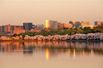 Energy audit by local Arlington energy auditors