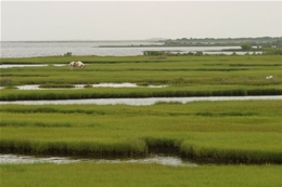 Energy audit by local Assateague energy auditors