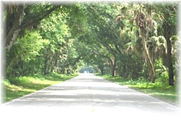 Energy audit by local Central Florida energy auditors