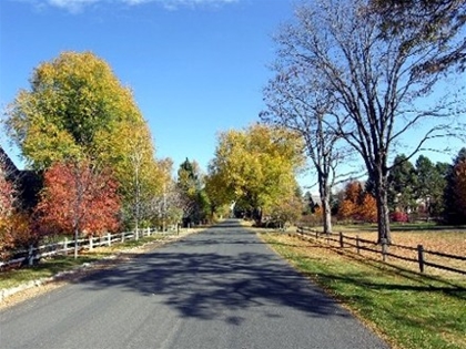 Energy audit by local Cherry Hills Village energy auditors