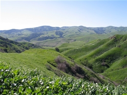 Energy audit by local Chino Hills energy auditors