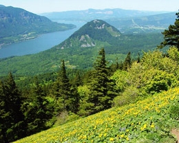 EV Charging Station installation by local Columbia River Gorge electric vehicle charger installers