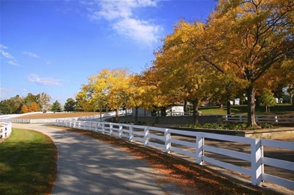 Energy audit by local Davidsonville energy auditors