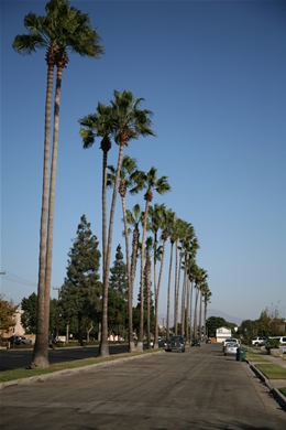 Energy audit by local Fountain Valley energy auditors