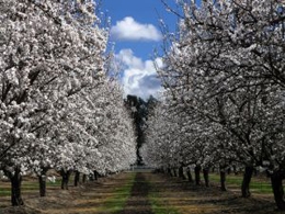 Fresno Wind Installers