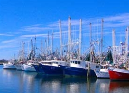 Gulfport Wind Installers