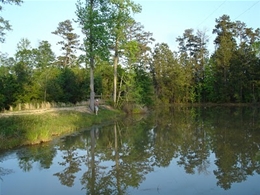 Solar panel installation by local Hattiesburg solar installers