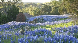 Energy audit by local Hill Country energy auditors