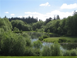 Energy audit by local Hillsboro energy auditors