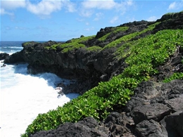 EV Charging Station installation by local Kahului electric vehicle charger installers