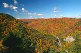 Energy audit by local Monongahela energy auditors