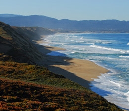 Energy audit by local Monterey County energy auditors