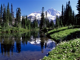 Solar panel installation by local Mount Rainier solar installers