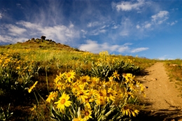 Nampa Wind Installers