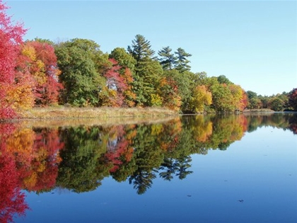 Energy audit by local Needham energy auditors