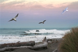 Ocean Shores Wind Installers