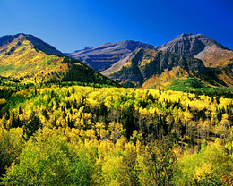 EV Charging Station installation by local Orem electric vehicle charger installers