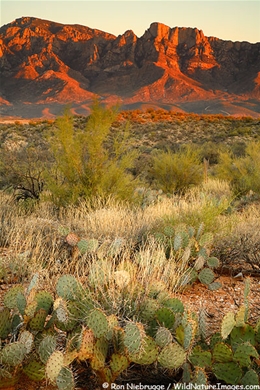 Solar panel installation by local Oro Valley solar installers