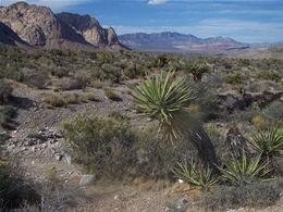 Energy audit by local Pahrump energy auditors