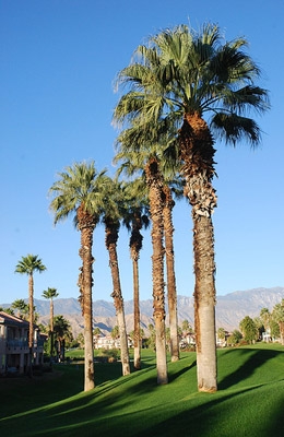 EV Charging Station installation by local Palm Springs electric vehicle charger installers