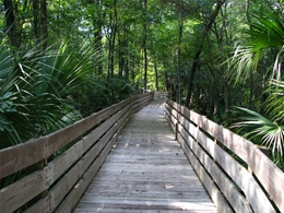 Energy audit by local Pasco County energy auditors