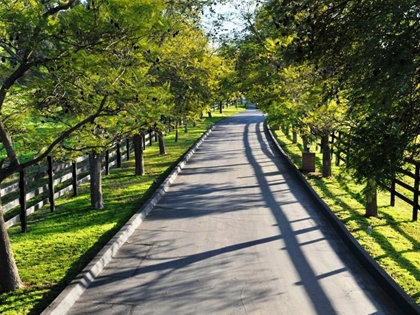 Energy audit by local Rancho Santa Fe energy auditors