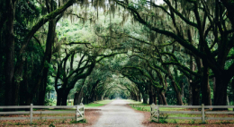 EV Charging Station installation by local Savannah electric vehicle charger installers