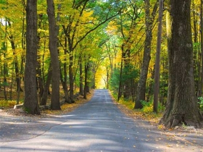 Energy audit by local Sherborn energy auditors