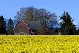 Energy audit by local Skagit County energy auditors