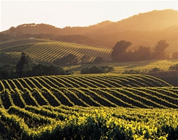 EV Charging Station installation by local Sonoma Valley electric vehicle charger installers