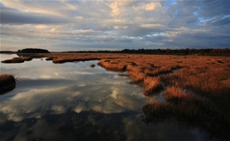 South Carolina Energy Tax Credit