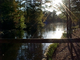 Energy audit by local Sumter energy auditors