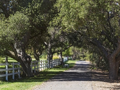 Energy audit by local Thousand Oaks energy auditors