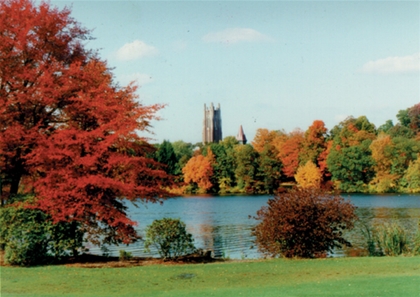 Energy audit by local Wellesley energy auditors