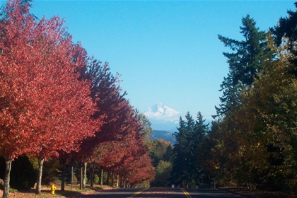 Energy audit by local West Linn energy auditors