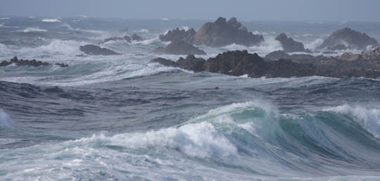 wave power harnesses the ocean waves to create tremendous amounts of electricity