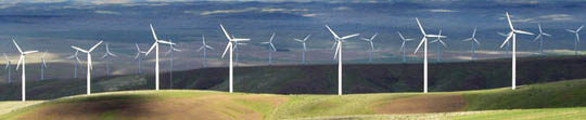 wind power generated on a wind farm with numerous wind turbines